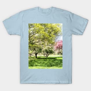 Spring - Lunch in the Park in Spring T-Shirt